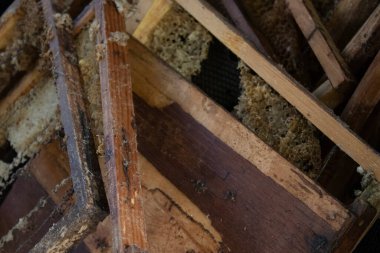 Bal peteği kullandım. Arı kovanından evler. Arıcılık. Arı yetiştiricisi.apikulture konsepti