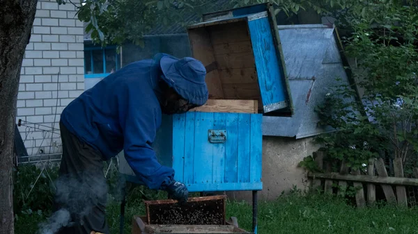 L'apicoltore lavora in giardino con le api. favi d'ape. case di api - alveare. apicoltura. concetto di apicoltura — Foto Stock