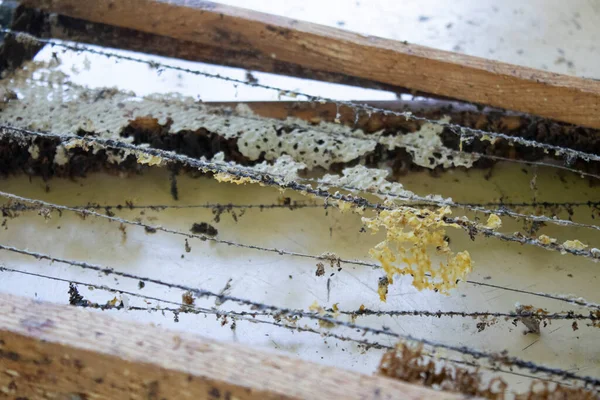 Usado panales. las casas de las abejas - la colmena. apicultura. Apicultura.apicultura concepto — Foto de Stock