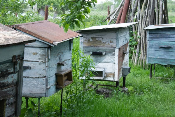 Las casas de las abejas - la colmena. apicultura. concepto de apicultura — Foto de Stock