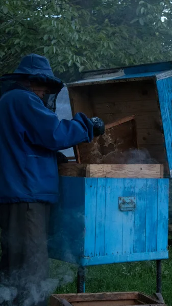 Apicultor trabaja en el jardín con las abejas. panales de miel. las casas de las abejas - la colmena. apicultura. concepto de apicultura — Foto de Stock