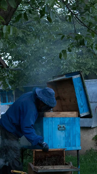 Apicultor trabaja en el jardín con las abejas. panales de miel. las casas de las abejas - la colmena. apicultura. concepto de apicultura —  Fotos de Stock