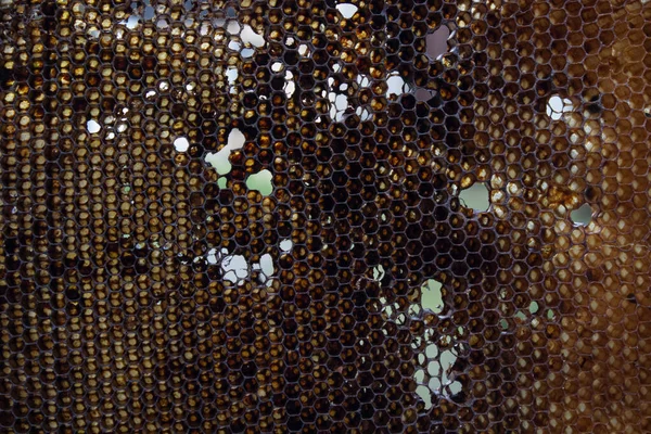 用过的蜂窝。蜂房-蜂房。养蜂。beekeeper.apiculture concept — 图库照片