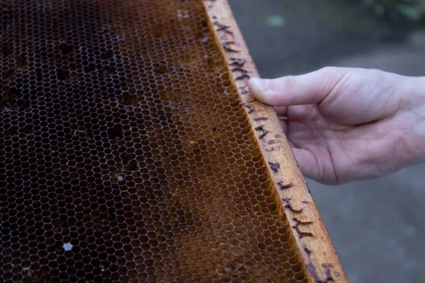 Usado panales. las casas de las abejas - la colmena. apicultura. Apicultura.apicultura concepto — Foto de Stock