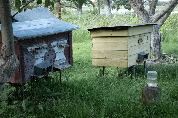 Case di api - alveare. apicoltura. concetto di apicoltura — Foto Stock