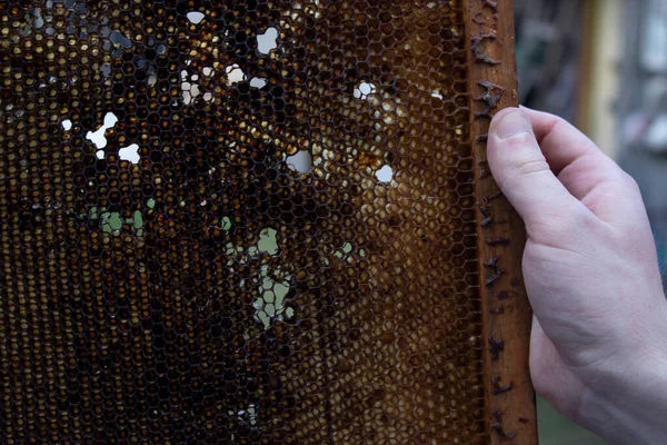 Usado panales. las casas de las abejas - la colmena. apicultura. Apicultura.apicultura concepto —  Fotos de Stock