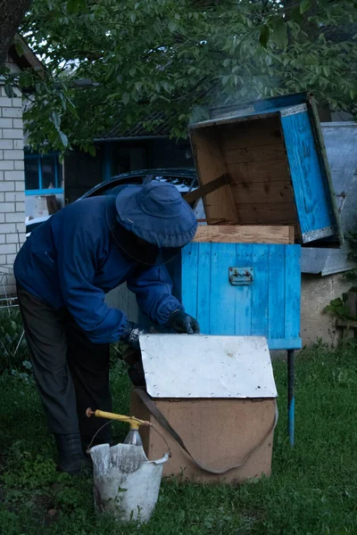 Beekeeper works in the garden with the bees. honeycombs. houses of bees - hive. beekeeping. apiculture concept — Stock Photo, Image