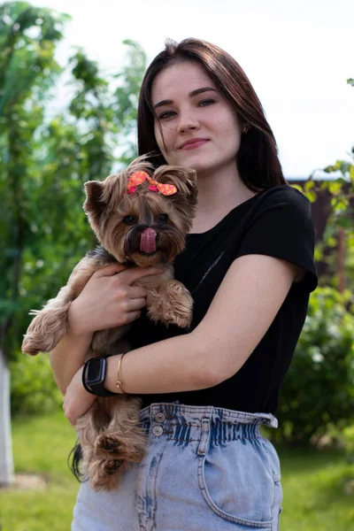 Encantadora joven morena en una camiseta negra y pantalones cortos de mezclilla con un lindo perro Yorkshire terrier en sus brazos —  Fotos de Stock