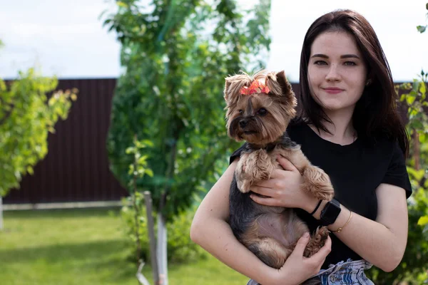 charming young brunette woman in a black T-shirt and denim shorts with a cute dog Yorkshire terrier in her arms
