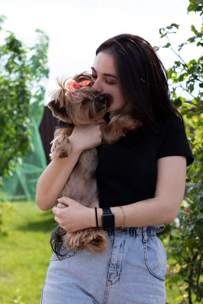 Charming young brunette woman in a black T-shirt and denim shorts with a cute dog Yorkshire terrier in her arms — Stock Photo, Image