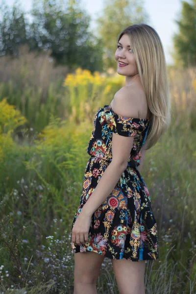 Overlight retrato brilhante de uma loira atraente encantadora em vestido florido no campo — Fotografia de Stock