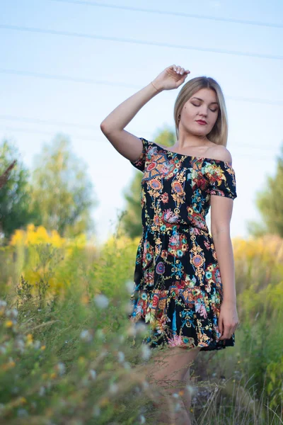 Overlight retrato brilhante de uma loira atraente encantadora em vestido florido no campo — Fotografia de Stock
