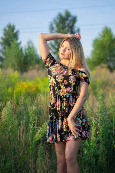 Overlight retrato brilhante de uma loira atraente encantadora em vestido florido no campo — Fotografia de Stock