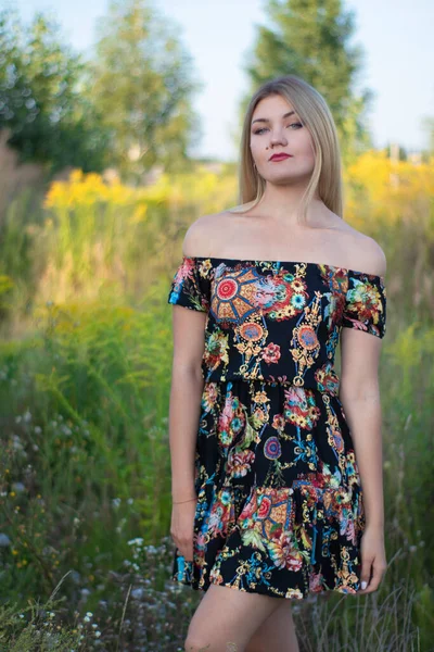 Overlight retrato brilhante de uma loira atraente encantadora em vestido florido no campo — Fotografia de Stock