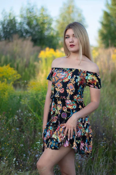 Overlight retrato brilhante de uma loira atraente encantadora em vestido florido no campo — Fotografia de Stock