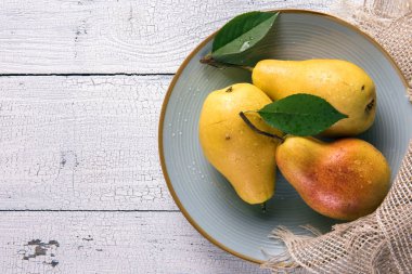 Üç ıslak olgun sarı armut olarak düzenlenmiş yeşil yaprakları ile bir taraftan çuval bezi peçete ile eski beyaz ahşap masa üstünde ışık mavi plaka yuvarlak. Seçici odak. Uzay kopyalayın. Yukarıdan görüntülemek.