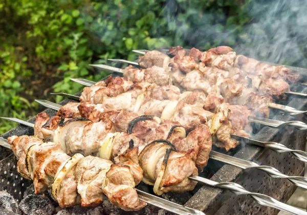 ちょうどロースト肉および金属の火鉢でタマネギと金属の串の行 多くの国ではシャシリクと呼ばれるこのピクニック料理は伝統的です 選択と集中 バック グラウンドでやり場のない緑のブッシュ — ストック写真