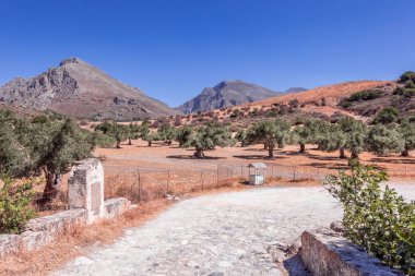 Yunan manzarası. Kırsal yaz sahne ile yol ile eski zeytin ağacı ekimi sıradağlarının Crete Island, Yunanistan'ın eteklerinde güzel büyük valley yakınındaki gidiyor. Açık mavi gökyüzü. Güneşli havalarda.
