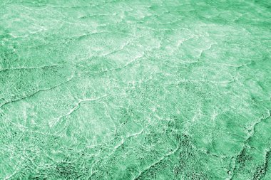 Açık yeşil tonlarda tonda deniz dalgaları desen