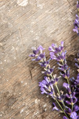 Pürüzlü ahşap yüzeyde taze lavanta demet