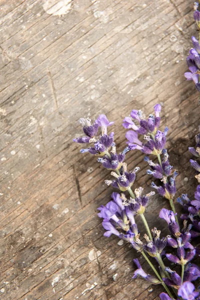 Pürüzlü ahşap yüzeyde taze lavanta demet