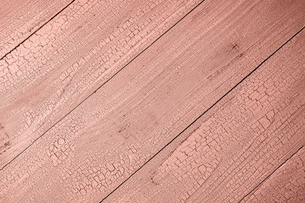 Różowe koral tło diagonalne — Zdjęcie stockowe