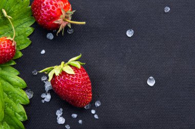 Bahçede böğürtlen yetiştirmek için kullanılan siyah tekstil malzemesi üzerinde az sayıda beyaz dolu taşı ve çilek yaprağı olan kırmızı çilekler. Büyük kopya alanı olan yatay arkaplan. Sağlıklı yeme kavramı.