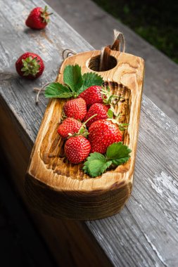 El yapımı ahşap tahtada ve eski ahşap yüzeyde birkaç tane parlak kırmızı organik çilek. Arka planda odaklanmamış gerçek bahçe ortamı. Seçici odaklanma. Sağlıklı beslenme ve beslenme kavramları.