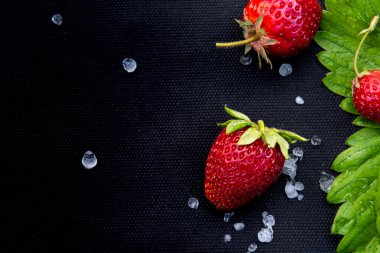Bu böğürtlenleri yetiştirmek için kullanılan siyah tekstil malzemesinin üzerinde birkaç beyaz dolu taşı ve yaprak olan güzel kırmızı çilekler. Büyük kopya alanı olan yatay arkaplan. Sağlıklı yeme kavramı.