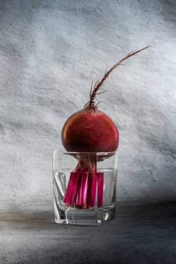 Temiz suyla dolu kare bardakta uzun kökü olan parlak kırmızı pancar kökü yakın plan. Kopya alanı ile dikey desenli gri arkaplan. Sağlıklı beslenme ve beslenme konsepti. Seçici odak.