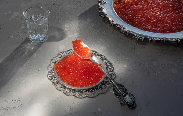 Red caviar in silver spoon and plate on gray background. Vodka shot and plate of caviar at unfocused background. Selective focus. Healthy eating concept. Russian style food background with copy space.
