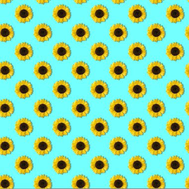 Gökyüzünde parlak sarı ayçiçekleri ve mavi arka planda parlak, pürüzsüz desenler. Çiçeklere doğrudan yukarıdan bak.