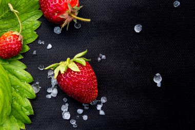 Bahçede böğürtlen yetiştirmek için kullanılan siyah tekstil malzemesi üzerinde az sayıda beyaz dolu taşı ve çilek yaprağı olan kırmızı çilekler. Büyük kopya alanı olan yatay arkaplan. Sağlıklı yeme kavramı.