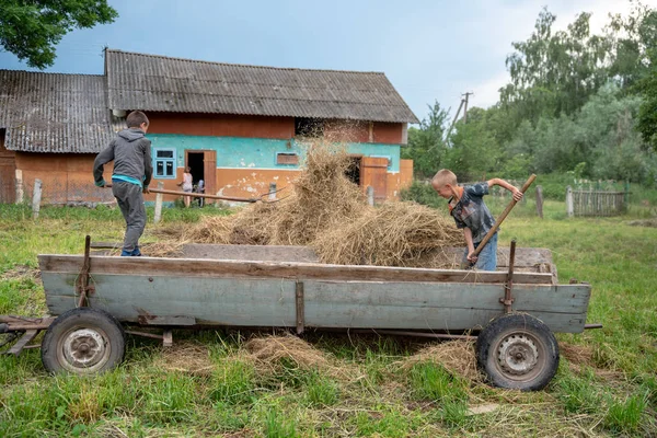 Litynia Village Ukraine Juni 2018 Zwei Junge Jungs Werfen Heu — Stockfoto