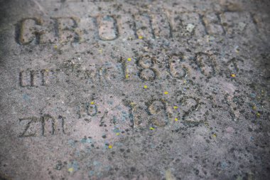 Yazıt ile eski mezar taşı. 19 ve 20 yüzyıl Drohobych, Ukrayna Yahudi mezarlığı