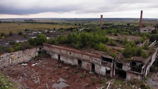 Fábrica destruida, árboles en el techo, vista aérea — Vídeos de Stock