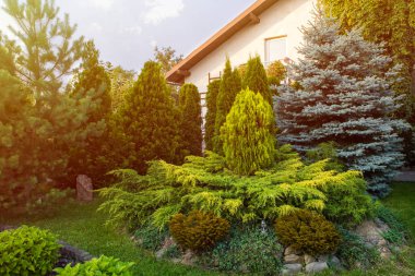 Peyzaj Bahçe, Dekorasyon Hizmetleri, günbatımı zamanı