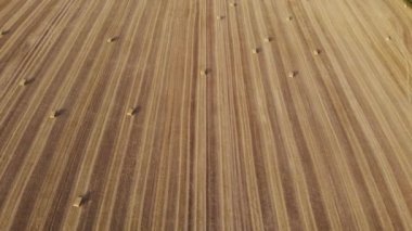 Hasat alanında, kare saman balya, dosdoğru, görünümü bir açıyla havadan görünümü