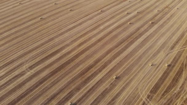 Square Straw Bales on harvest field, aerial view, at angle — Stock Video