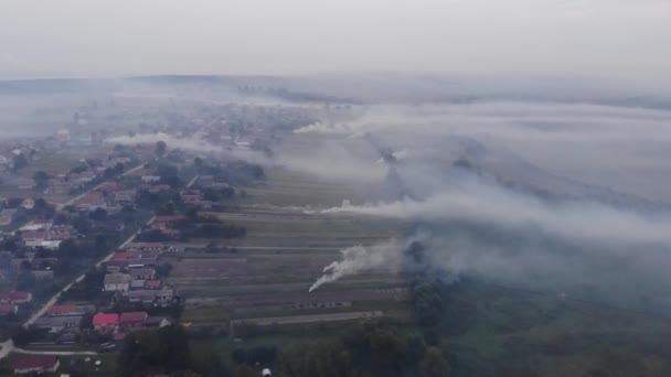 Quema de malas hierbas en el campo, humo, daños al medio ambiente, contaminación atmosférica. Tiempo de otoño, área rural, Ucrania — Vídeos de Stock