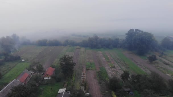 Campos después de la cosecha, humo de la quema de malas hierbas en el campo. Otoño, zona rural. Vista aérea desde el dron, vuela hacia adelante en línea recta — Vídeo de stock