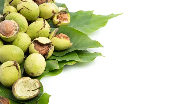 Gruppo Juglans Regia Verdi Sparsi Una Foglia Uno Sfondo Bianco — Foto Stock