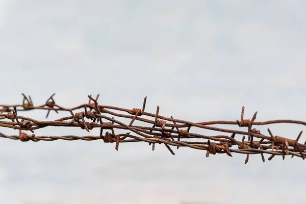 Rusty Barbed Wires Old Wall White Background Copy Space Text — Stock Photo, Image