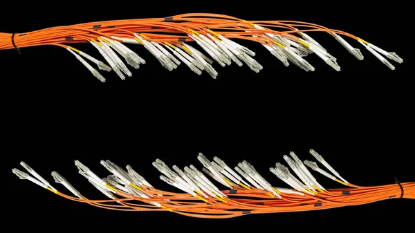 黑色背景上的一束光纤电缆和 式连接器 Copyspace — 图库照片