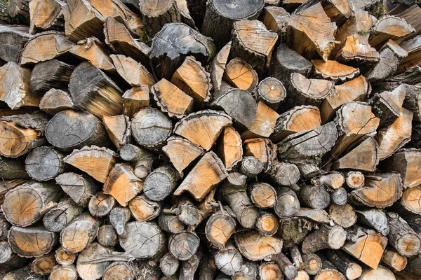 Haldy Sekanými Dubové Dřevo Příprava Zimní Sezónu Pozadí — Stock fotografie