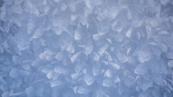 Macro mirada de copos de nieve, cristales de nieve. Fondo de invierno abstracto, bandera — Foto de Stock