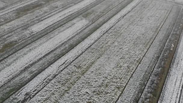 Luchtfoto van de velden zijn bedekt met sneeuw. Wintertijd — Stockvideo
