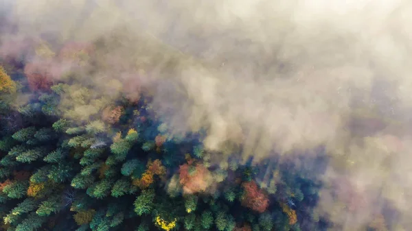 Пташиного польоту дивовижний краєвид карпатських лісів. Ранковий туман поширюється по річці і конвертів, гір і лісів. Магічні і барвиста осінь в Карпатах, Україна — стокове фото