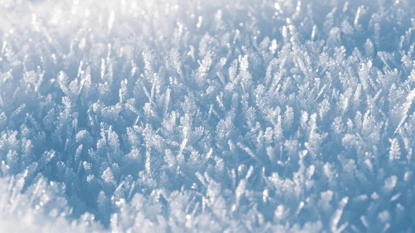 Macro Blik Van Sneeuwkristallen Sneeuwvlokken Winter Achtergrond Banner Indeling — Stockfoto