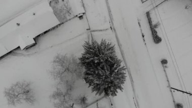 Kış Güzellik. Toprak karla kaplı. Aşağı bir puan pürüzsüz anında döndürme